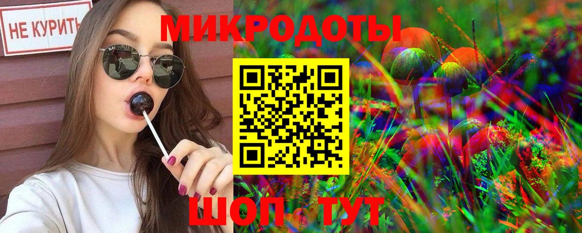 Псилоцибиновые грибы Cubensis  Вход с VPN  Каменка 